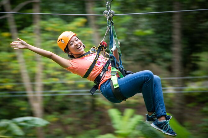 St Lucia Ultimate 3: Aerial Tram, Zipline and Hiking at Rainforest Adventures - Whats Included in the Tour