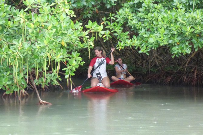 Stand up Paddle in Paradise - Safety Tips for Stand up Paddling