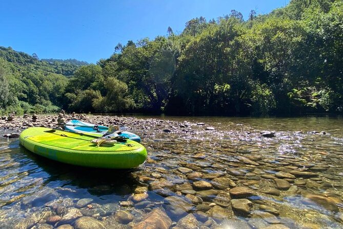 Stand-Up-Paddle Tour in Paiva River - Overview