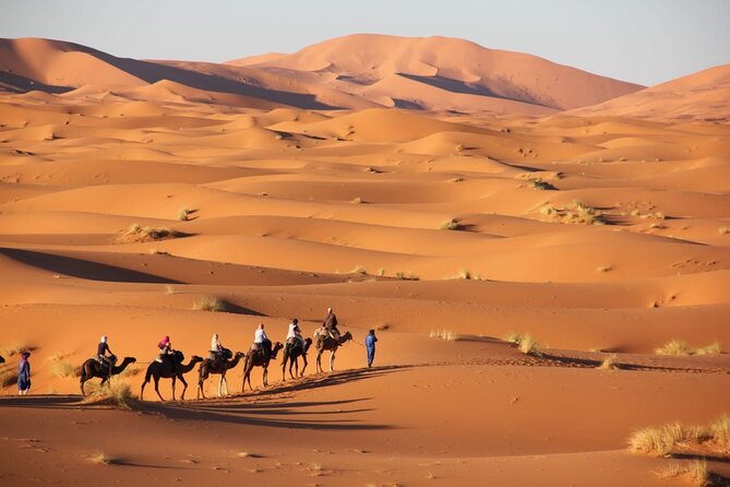 Standard Trip in 1 Night / 2 Days From Fez to Merzouga - Marrakech or Back With Same Transportation - Trip Details: Duration, Transportation, and Meals