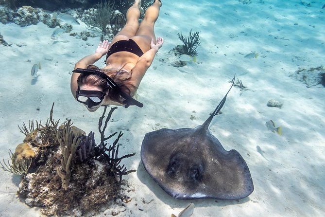 Starfish Point, Stingray City-Sandbar & Coral Gardens - Jellyfish Encounter