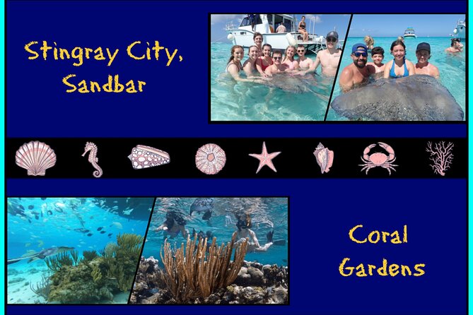 Stingray City Experience From Grand Cayman (2-Stops Adventure) - Overview and Logistics