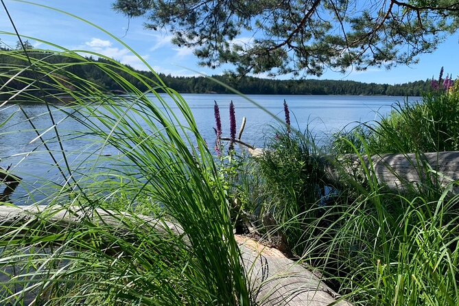 Stockholm Eco-Friendly Sunset Hike And Wildlife Spotting - Tour Information