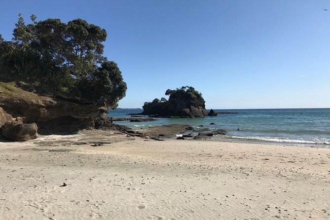Stunning Auckland East Coast Walk & Wine Private Tour - Tour Highlights