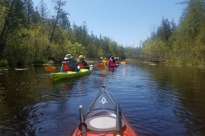 Sturgeon Bay Wetlands Kayak Tour  - Green Bay & Door County - Overview and Location