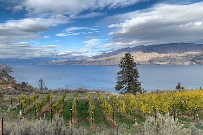 Summerland Bottle Neck Drive Sip Disturber Half Day Wine Tour Shared Tour - Meeting and Pickup Details