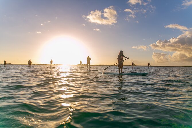 Sunrise in Paddle With Picnic in Front of the Bird Sanctuary - Start and End Time