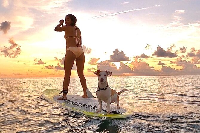 Sunrise Paddle Surf - Experience Details