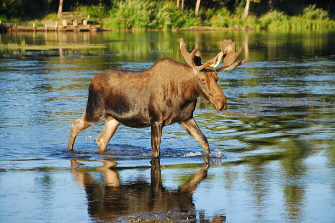 Sunrise Tour of Grand Teton National Park - Expectations and Accessibility