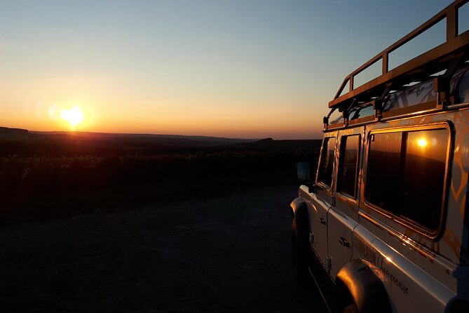 Sunset and Champagne Tasting in the Vineyard - Lowest Price Guarantee