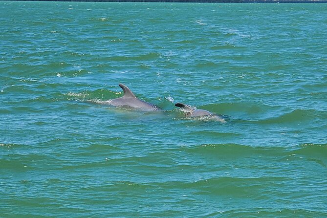Sunset and Dolphin Tour, Fort Myers Beach and Sanibel Lighthouse - Activity Details