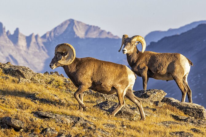 Sunset and Night Photography Tour on Trail Ridge Road - Tour Overview and Inclusions