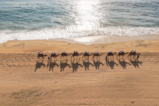 Sunset Beach Camel Ride With Mexican Buffet and Tequila Tasting - Booking Confirmation and Important Information