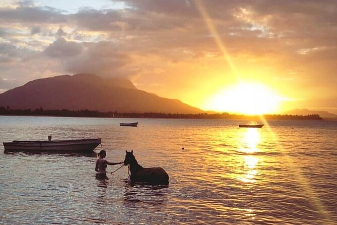 Sunset Beach Horseback Riding - Horse Care and Comfort