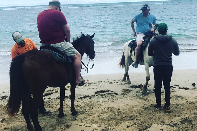 Sunset Beach Horsebackriding Punta Cana - Private Horseback Riding Adventure