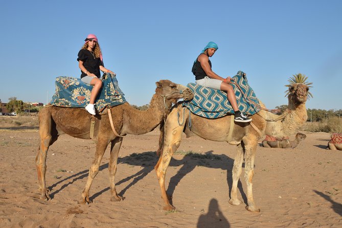 Sunset Camel Ride in Agadir With Transport, Tea and Cakes. - Overview of the Sunset Camel Ride