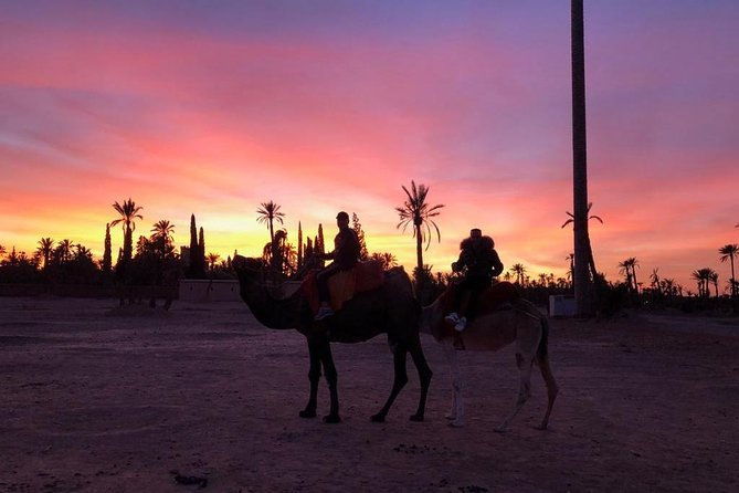 Sunset Camel Ride in the Palm Grove Of Marrakech - Overview of the Sunset Camel Ride Experience