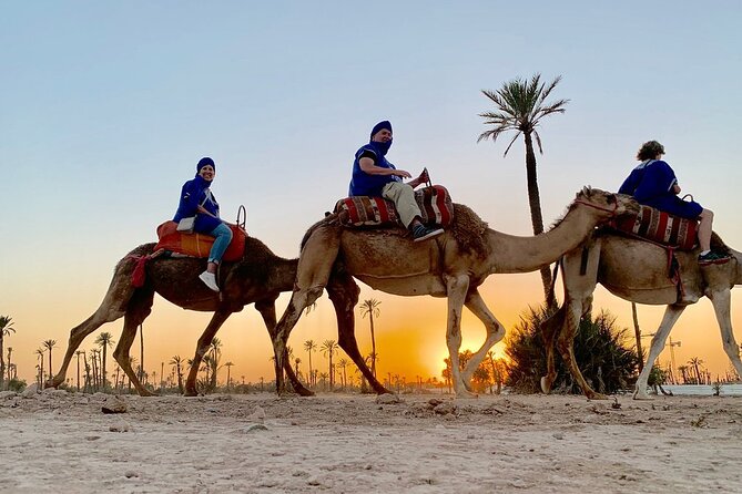 Sunset Camel Ride in the Palm Grove of Marrakech - Explore the Palmeraie