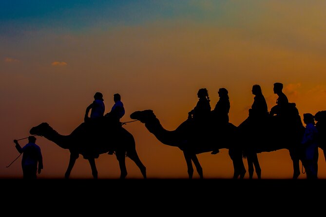 Sunset Camel Trekking Safari With Falcon Show and VIP BBQ Dinner - Tour Highlights