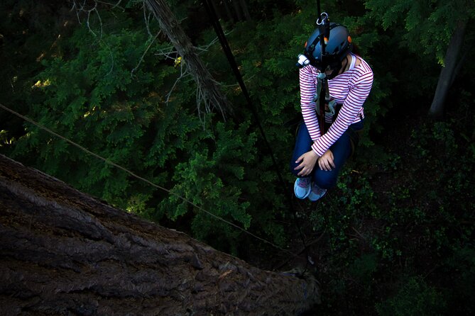 Sunset Canopy Climb on Lopez Island - Activity Details