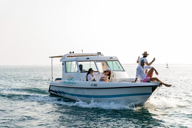 Sunset Cruise - 2 Hours Trip - Meeting and Pickup