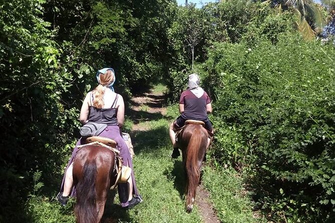 Sunset Horseback Ride for Small Groups Through Mazunte  - Puerto Escondido - Reviews