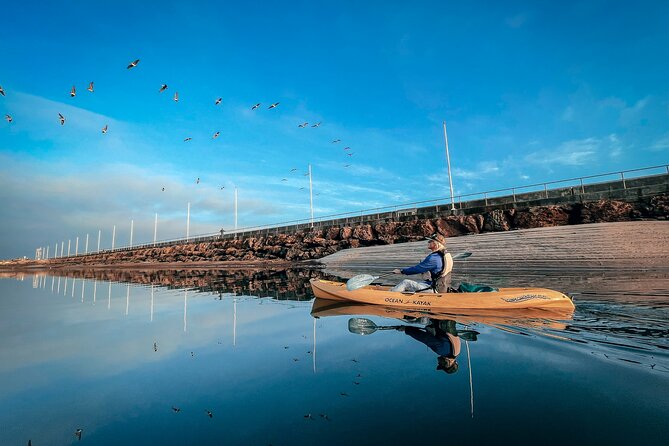 Sunset Kayak Tour of Santa Barbara With Knowledgeable Guide - Positive Experiences