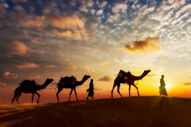 Sunset or Sunrise Camel Ride in the Sahara Desert of Douz - Pricing and Booking Details