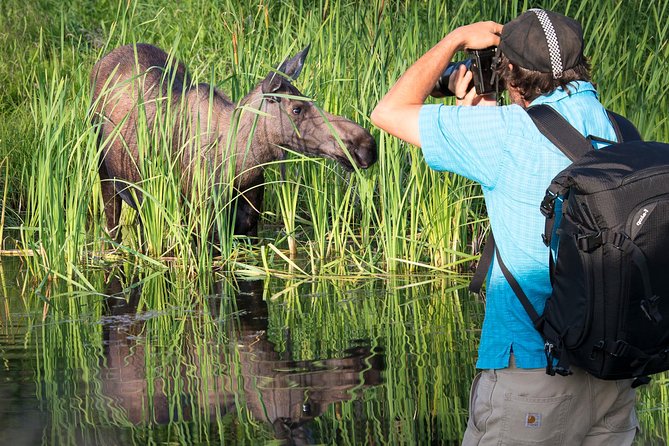 Sunset Photo Safari - Tour Highlights