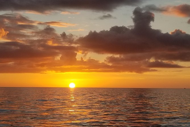 Sunset Private Boat Trip in Naples FL With Secluded Island Stop With Your Dog - Meeting and Pickup