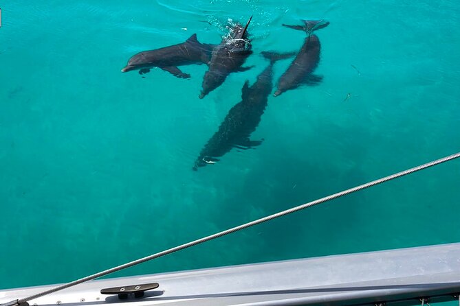 Sunset Sail & Dolphin Search With Honest Eco - Booking and Accessibility Details