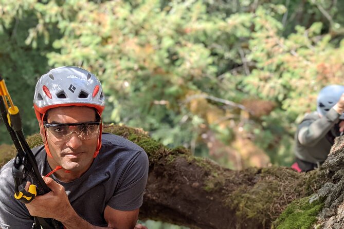 Sunset Tree Climb at Silver Falls State Park - Overview and Activity Details