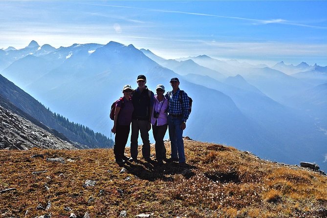 Sunshine Meadows Vistas - Guided Hike (Easy) - Excursion Details