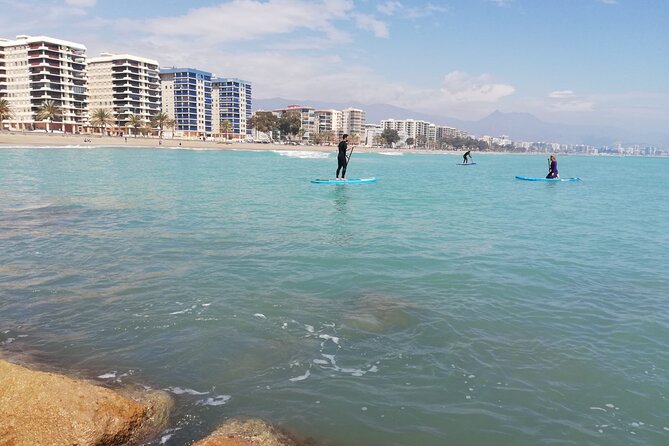 Surf or Paddle Surf Course in Benicasim Castellon - Course Overview