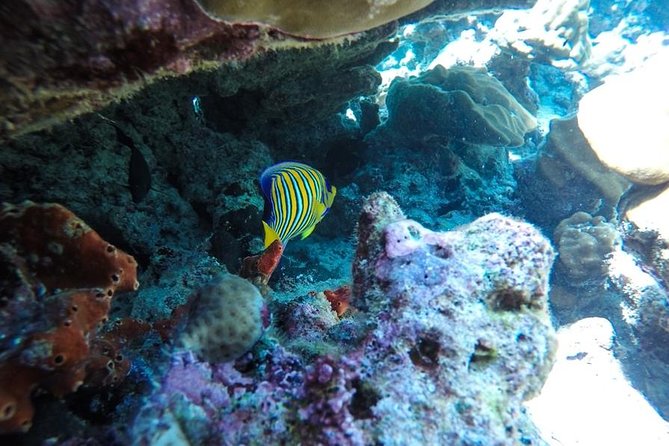 Surin Islands Speedboat Snorkeling Tour From Phuket - Cancellation Policy
