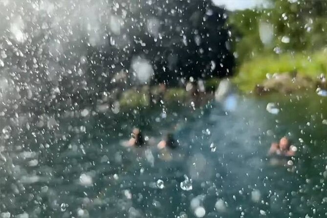 Swim at Oahu Waterfall in Waimea With Coffee Treats, Lunch & Dole - Delicious Lunch Options