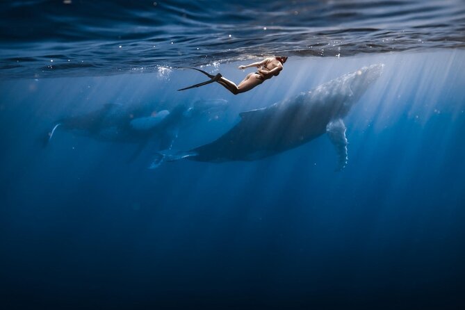 Swimming With Whales in Moorea (Half Day Tour) - Experience and Expectations
