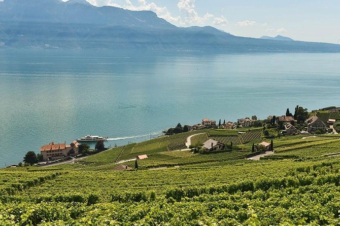 Swiss Wine Tasting at Lavaux Vineyards: Private Trip From Geneva - Pricing and Booking Details