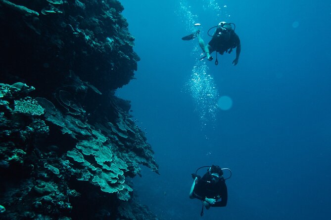 Tahiti Fun Certified Scuba Dive - Overview and Experience