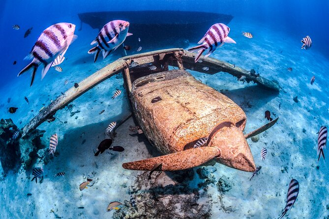 Tahiti Introductory Scuba Dive - Logistics and Booking