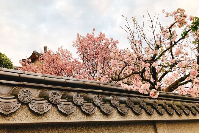 Taipei Cherry Blossom Day Tour - Tour Highlights