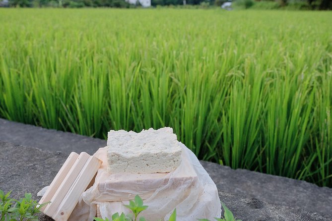 Taiwan Local Tofu DIY Experience in Daxi - Overview of Daxis Tofu Production
