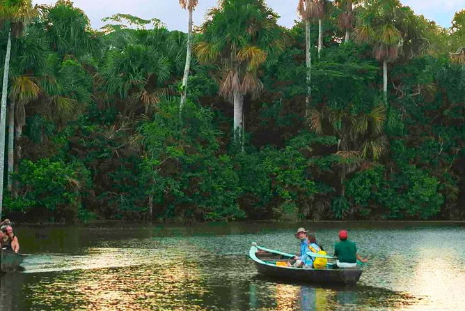Tambopata Chuncho Macaw Clay Lick 3 Days - Inclusions and Services Provided