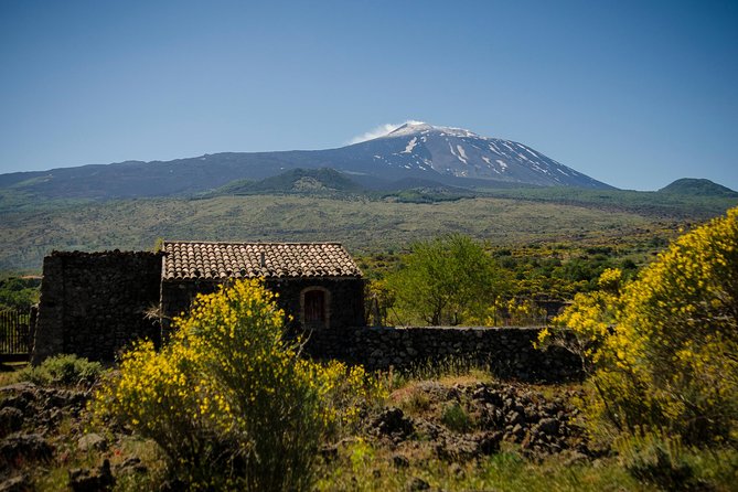 Taormina to Mount Etna, Randazzo and Alcantara Gorges Day Trip  - Sicily - Tour Highlights and Activities