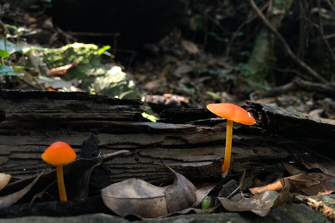 Taroko Wenshan Green Water Trail / Group of 4 - Trail Highlights