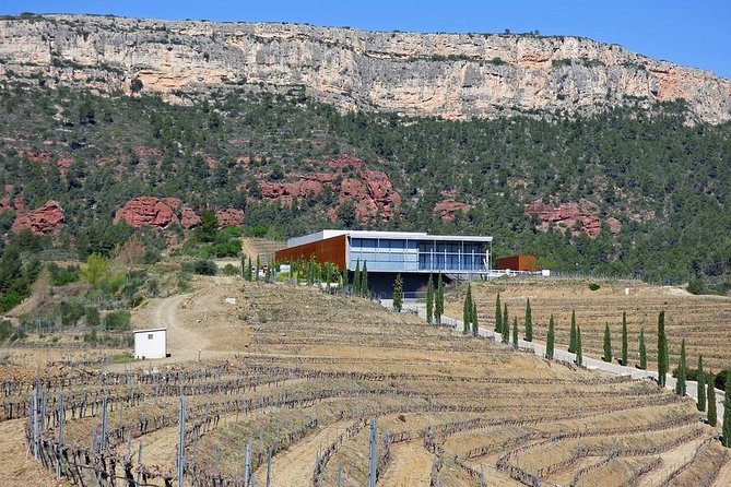 Tarragona, Ruins & Priorat Private Tour - Hotel Pick up From Salou/Tarragona - Pricing and Booking