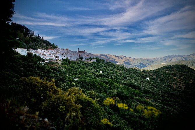 Taste Andalusia in the Mountains: A Memorable Dining Experience - Setting the Stage: A Scenic Mountainous Retreat