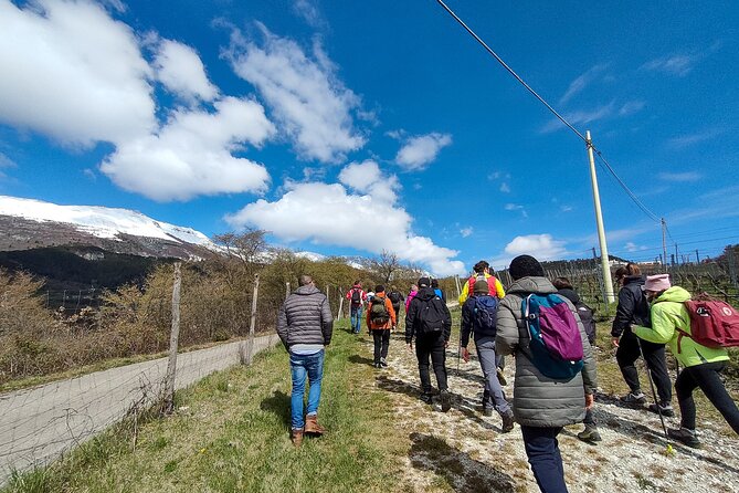 Tasting of Organic Mountain Wines With Vineyard and Cellar Tour - Vineyard Exploration