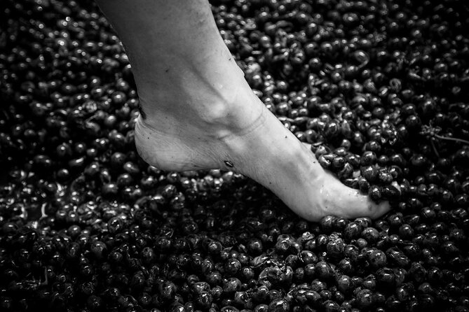 Tenuta Mareli - Wine Tasting in Tuscany - Expert Guided Tours