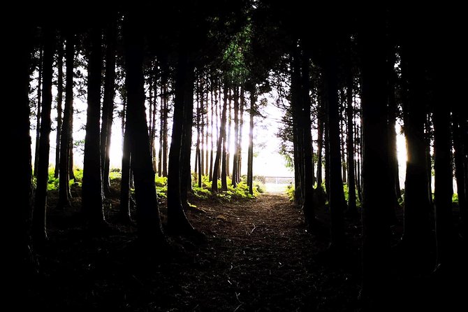 Terceira Island Private Tour: Full-Day - Traveler Photos